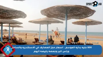800 جنيه بداية الموسم.. أسعار حجز المصايف في الإسكندرية والساحل ورأس البر وجمصة رخيصة اليوم